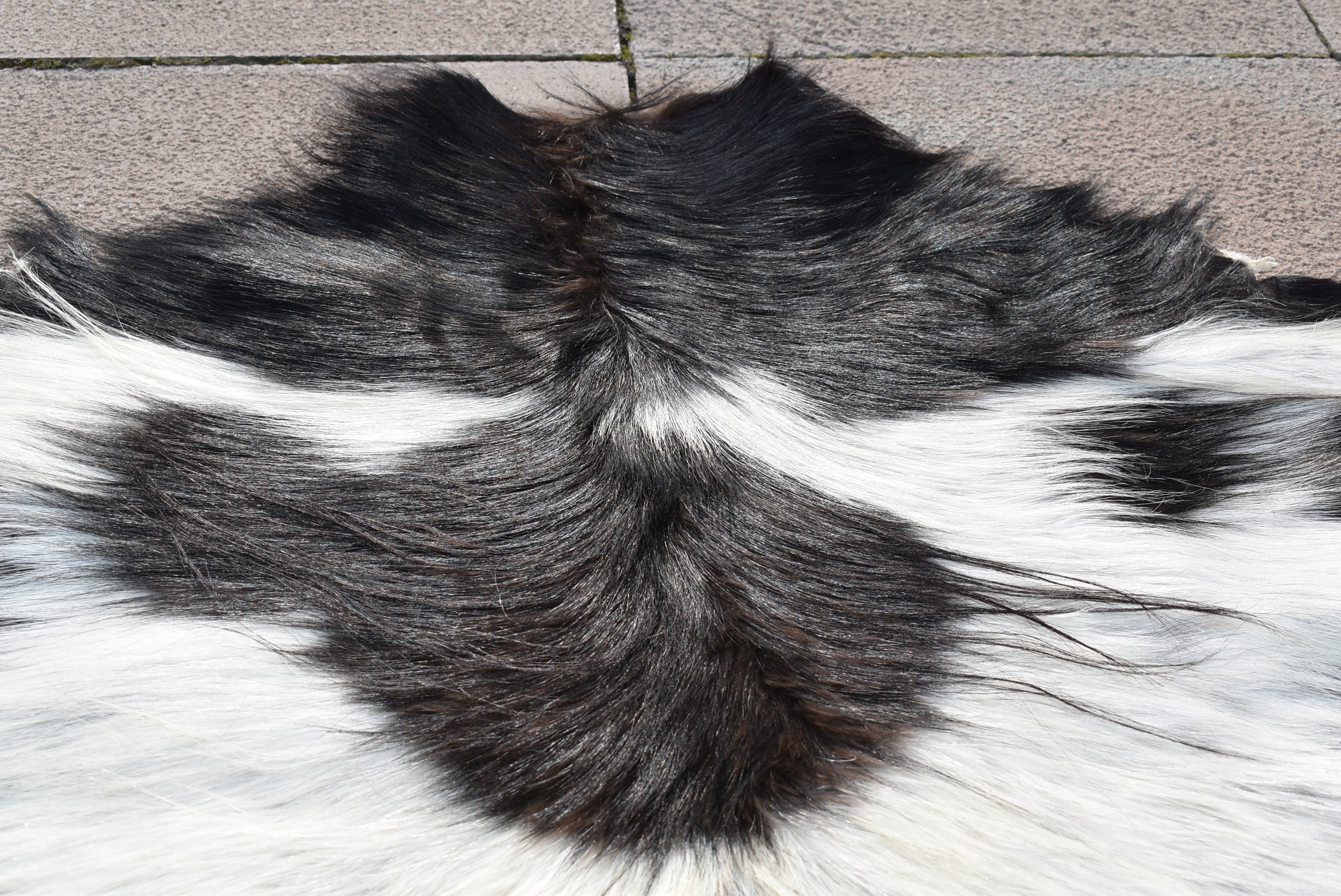 Tapis Vintage Peau De chèvre/peau de bête/vintage goat carpet skin