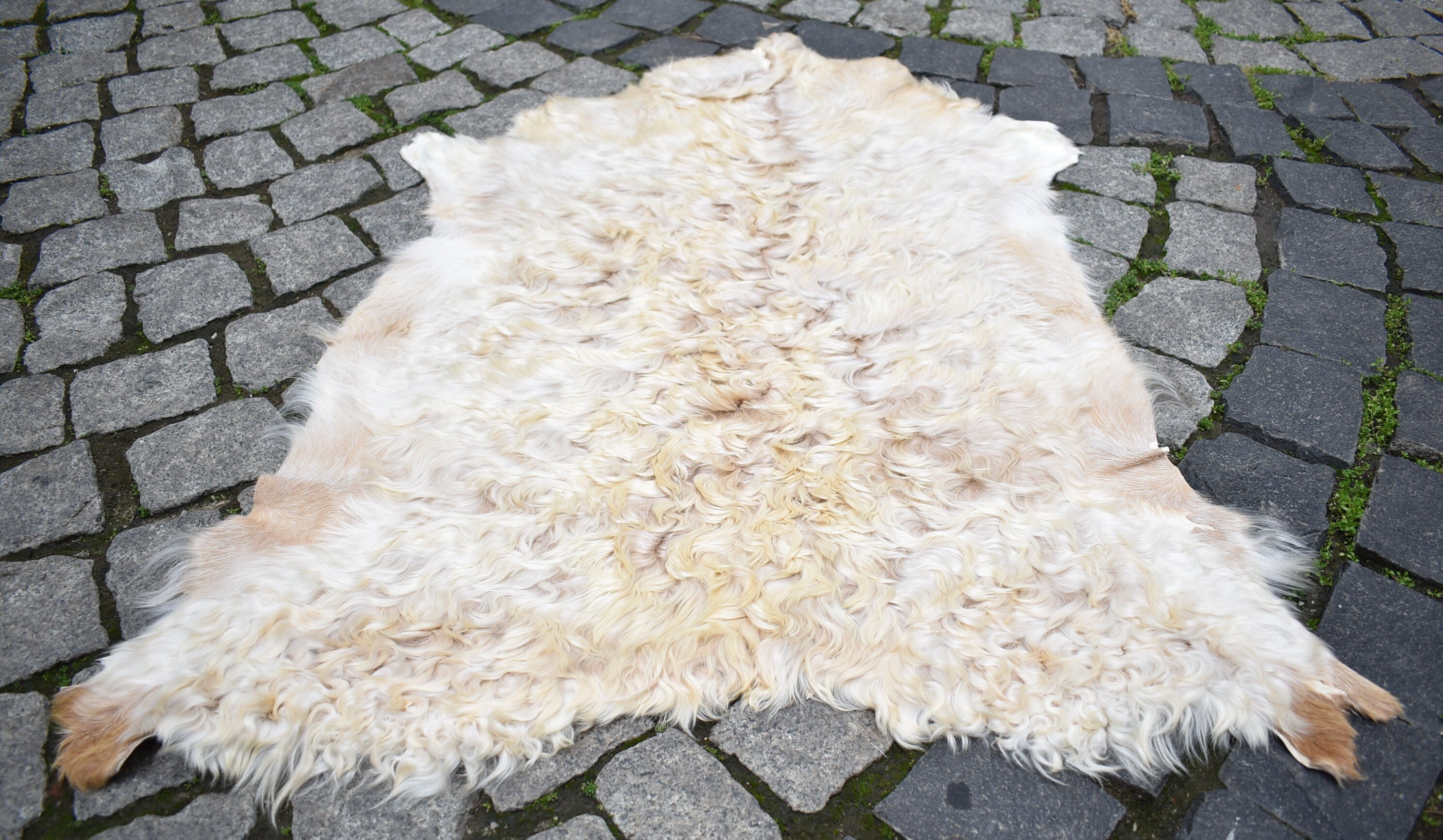 ヤギ 毛皮 ラグ 約70×90cm ウサギの毛皮 管理番号3 ヤギ 毛皮 ラグ 約