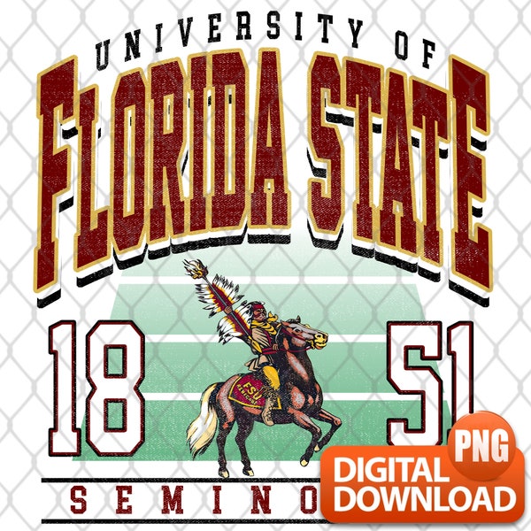 NCAA Florida State Seminoles png, Florida State University Shirt, NCAA Shirt, College Shirt, Vintage Shirt, Unisex T-shirt Sweater