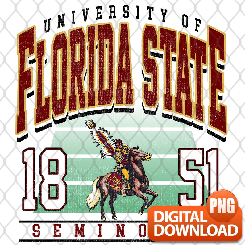 Maglia Florida State Seminoles NCAA Per Animali - Dazzle Fabric, Elasticizzata, Taglia XS - Foto 11
