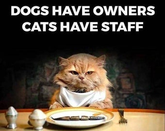 Image result for dogs have masters cats have staff