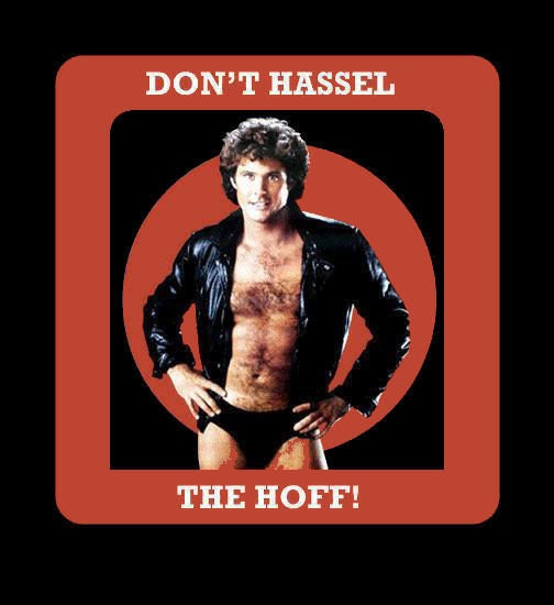 Herren Damen T SHIRT 80er Jahre Icon Don't Hassle the Hoff | Etsy  Deutschland