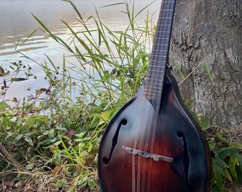 Bandolim Archtop estilo A