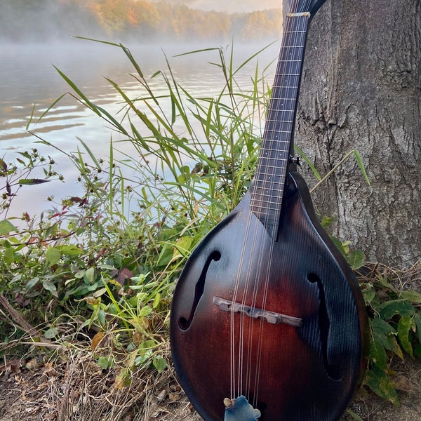 Archtop A-Style Mandolin