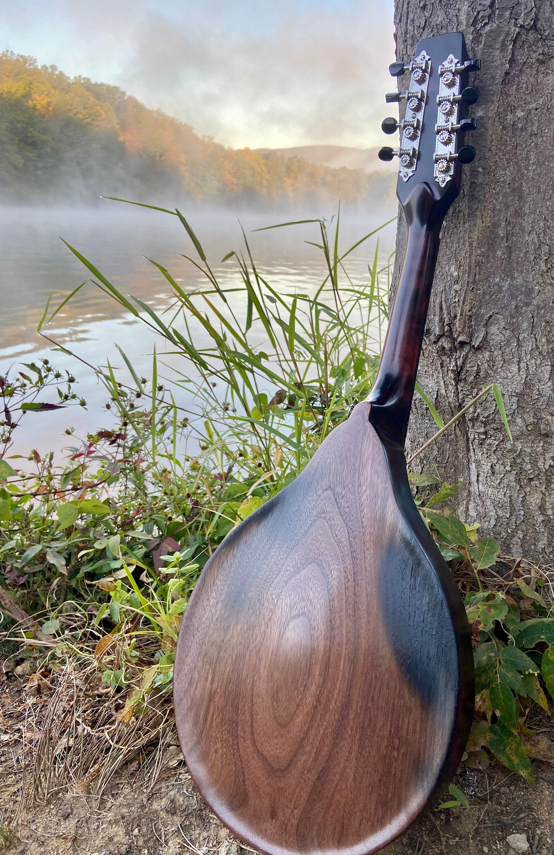 Archtop A-style Mandolin - Etsy