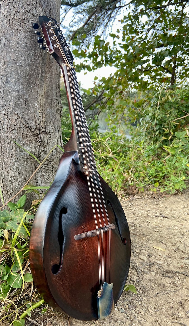 Archtop A-style Mandolin - Etsy
