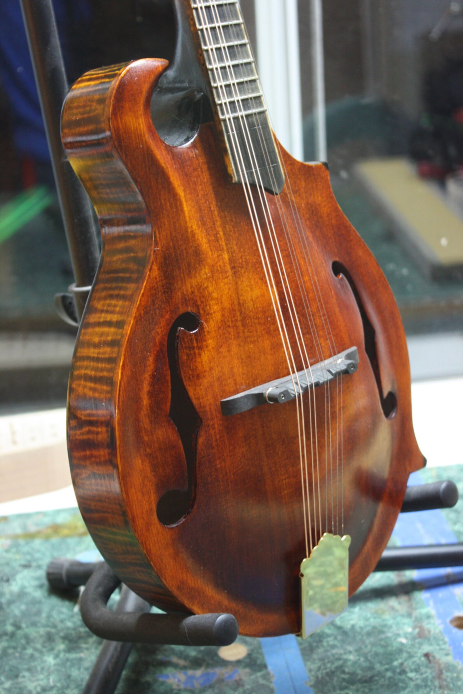 Custom Dubova Mandolin. Modified Fstyle. Hand Carved Etsy