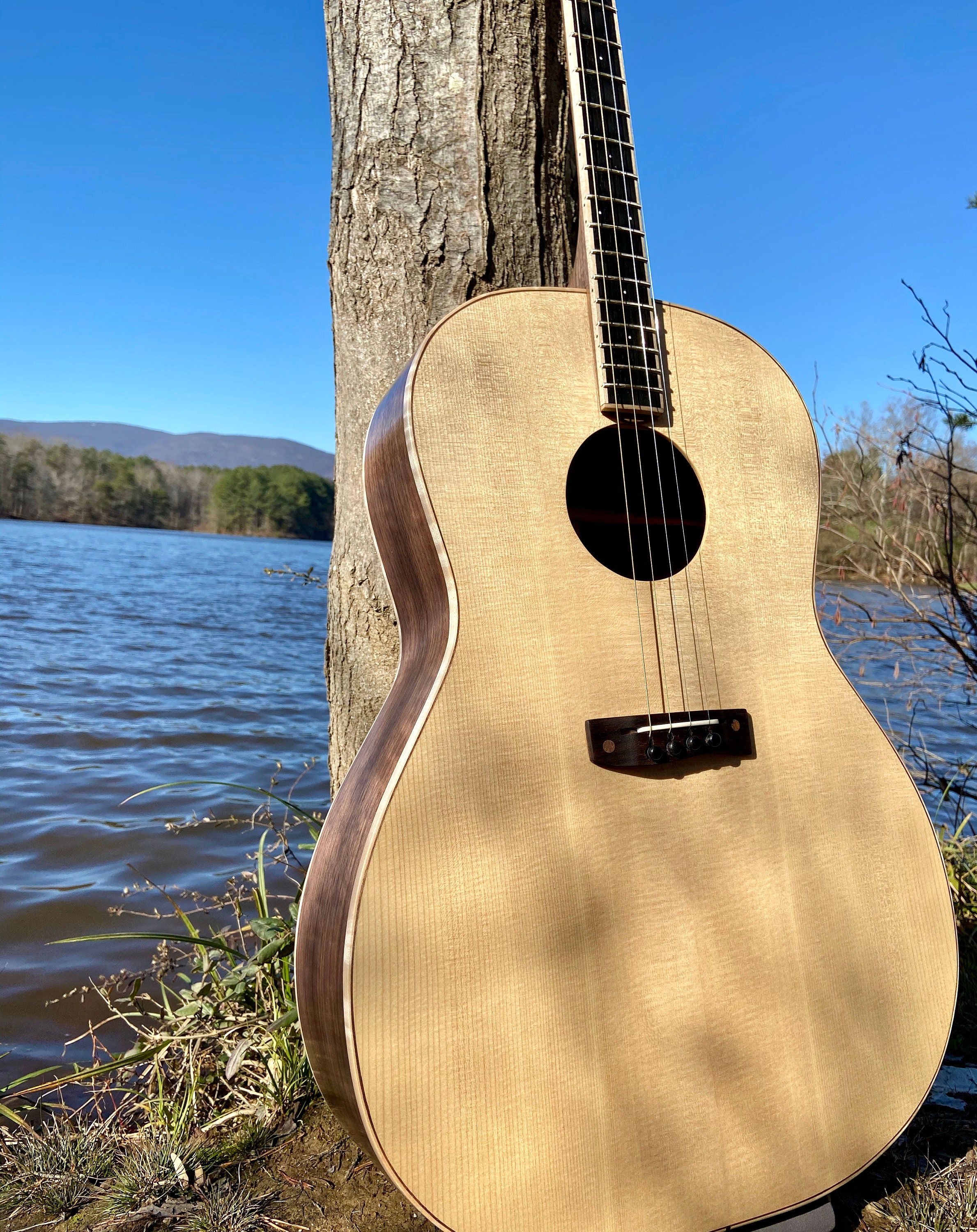 Tenor Guitar for sale 85 ads for used Tenor Guitars