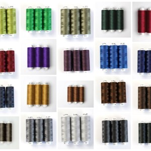 Può includere: Assortimento di 18 bobine di filo in vari colori, tra cui verde, rosso, blu, viola, oro, marrone, grigio e nero. Ogni bobina contiene tre fili.