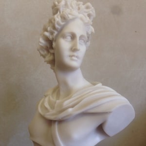Apollo Belvedere Classical Bust