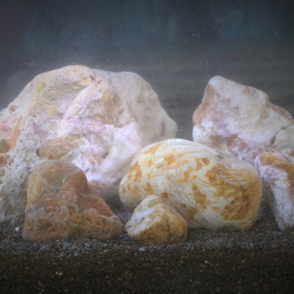 White Aquarium Rock Etsy