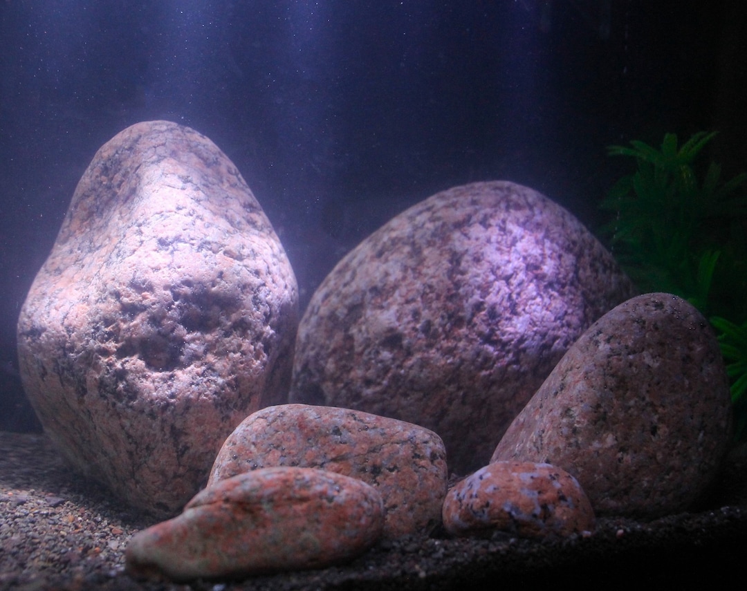 Granite Aquarium Terrarium Stones Ocean Smoothed Orange and - Etsy