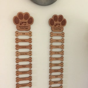 Guide Dog, Service Dog, or Family Dog additional Bones