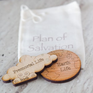 Plan of SalvationPreach My Gospel Lesson 2 image 3