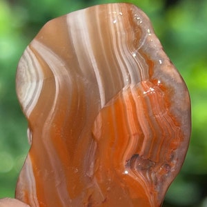 Lake Superior Agate Red White Tubes Sagenite Banding  .8 oz