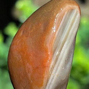 Lake Superior Agate Red White Tubes Water Level Banding  1.54 oz