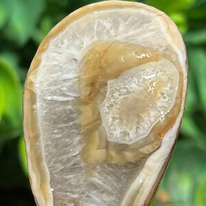 Lake Superior Agate Green White Floater Tubes Banding  1.2 oz