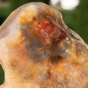 Lake Superior Agate Tubes Sagenite Floater Banding  .9 oz