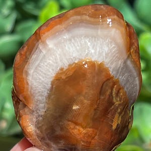 Lake Superior Agate Red White Floater Tubes Crystal Banding  2.23 oz