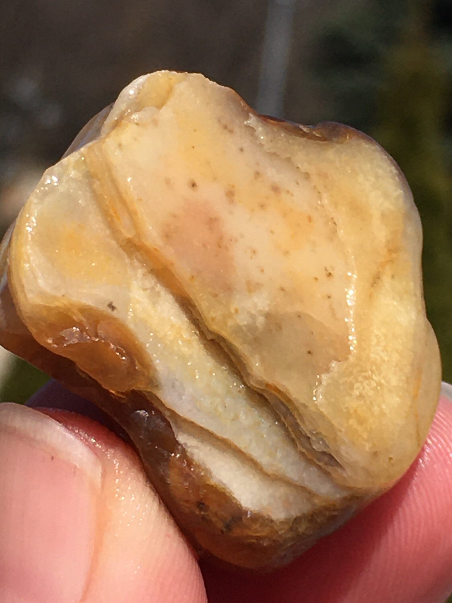 peeler agate peeler agate
