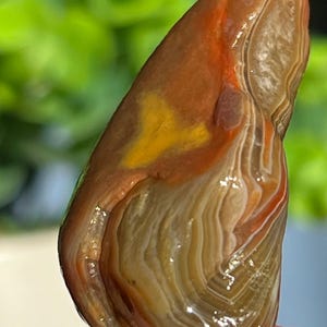 Lake Superior Agate Red White Green Peeler Tubes Crystal Banding .95 oz