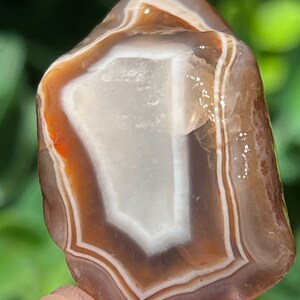 Lake Superior Agate Dark Beauty Floater  Tubes Banding  .6 oz