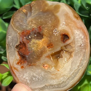 Lake Superior Agate Floater Tubes Crystal Impressions Banding  5 oz