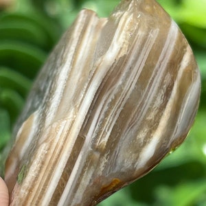 Lake Superior Agate Peeler Tubes Water Level Banding  1 oz