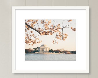 Cherry Blossoms, Washington DC, fine art print, photography, Jefferson Memorial, Monument, Spring, Flowers, Color or Black and White