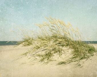 Sea Oat, Outer Banks, Coastal Decor, Beach Photography, Sand Dunes, Beach Decor, Fine Art Print