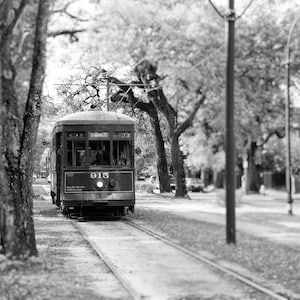 Pu&ograve; includere: Una fotografia in bianco e nero di un tram d'epoca che viaggia lungo una strada fiancheggiata da alberi. Il tram &egrave; etichettato "St. Charles" e "915".