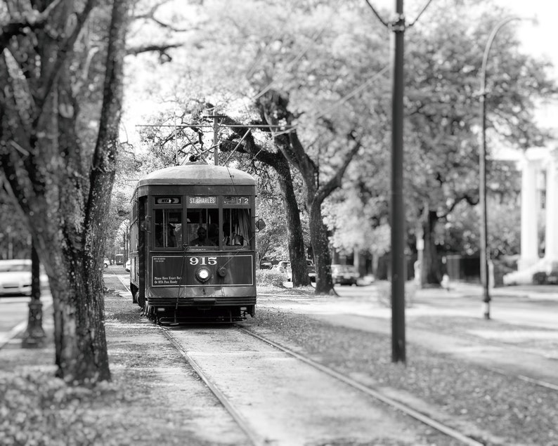 Pu&ograve; includere: Una fotografia in bianco e nero di un tram d'epoca che viaggia lungo una strada fiancheggiata da alberi. Il tram &egrave; etichettato "St. Charles" e "915".