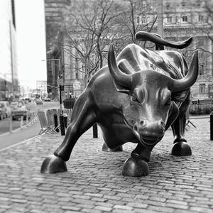 Wall Street Bull, New York Bull Statue, Charging Bull, Black and White Photography, New York City Wall Art, NYC, Office Decor, Stock Market image 1