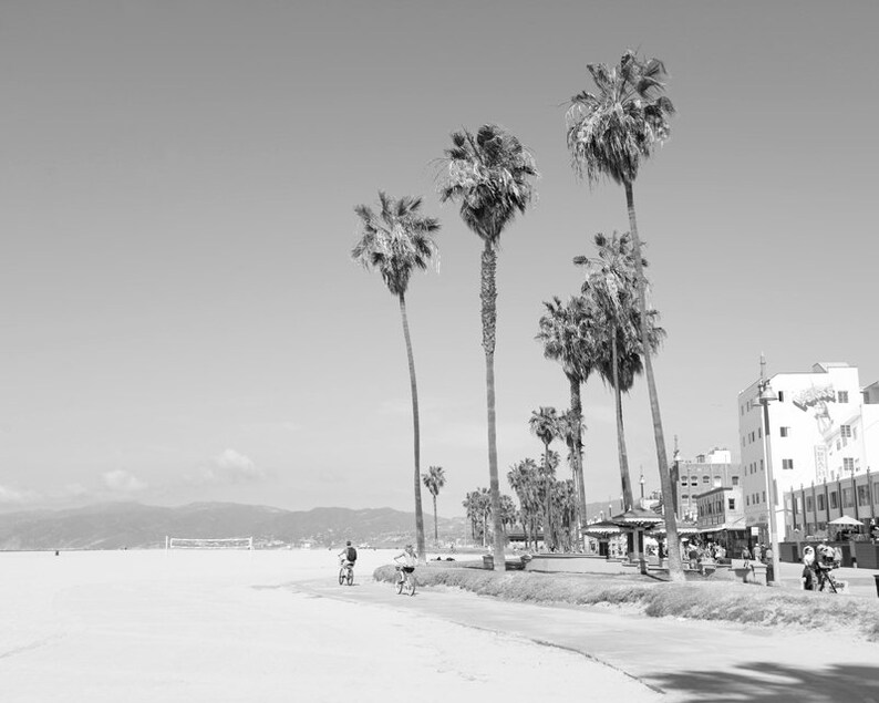 Venice Beach, Beach Decor, Venice Beach Sign, California Prints, Los Angeles Wall Art, Set of 4 Prints, Palm Trees, Venice Skate Park image 8