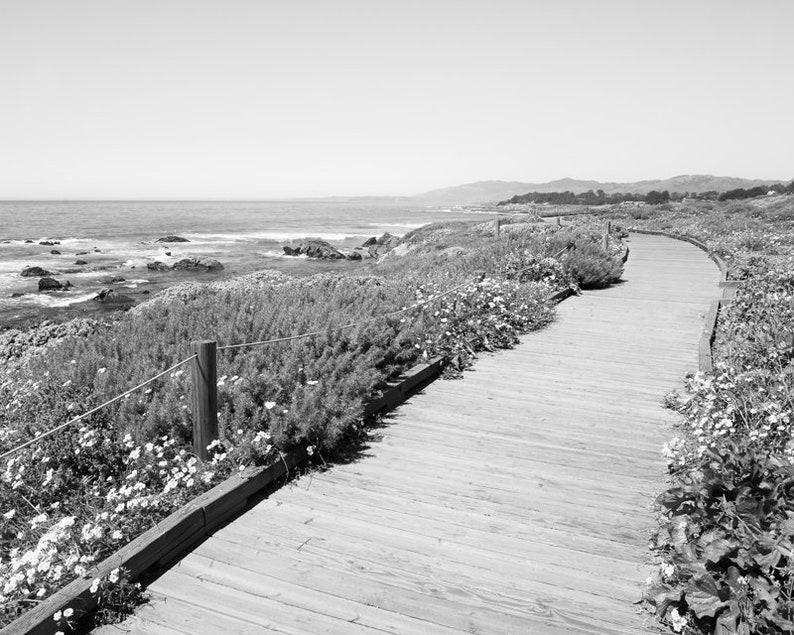 K&ouml;nnte beinhalten: Ein Holzsteg schl&auml;ngelt sich durch ein Feld mit Wildblumen und f&uuml;hrt zu einem Blick auf das Meer.