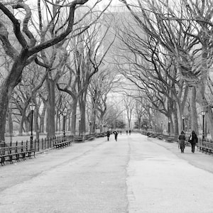 Central Park, Black and White, New York Photography, Literary Walk, New York City Print