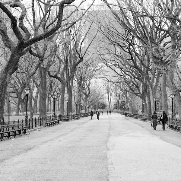 Central Park, Black and White, New York Photography, Literary Walk, New York City Print