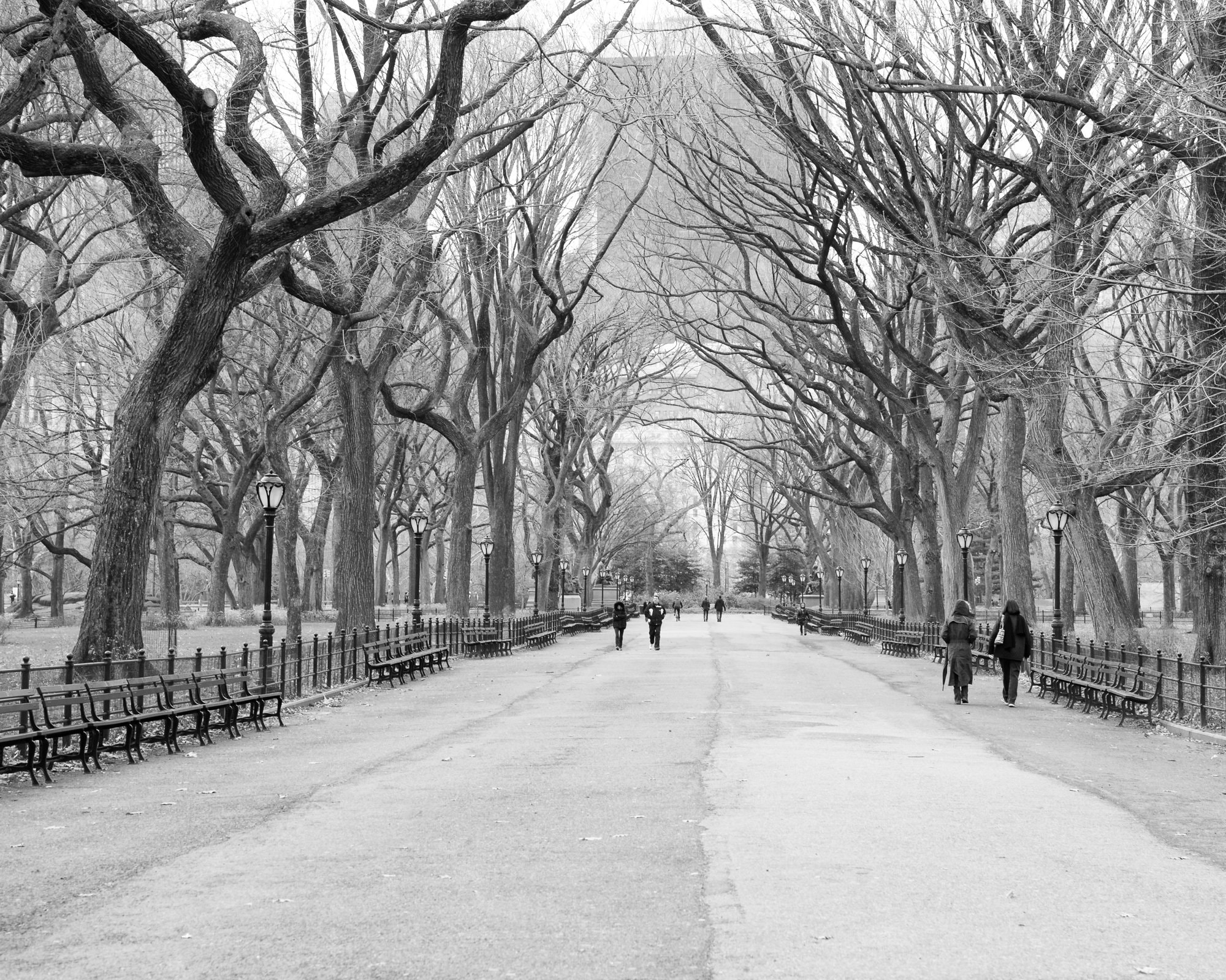 Central Park Black and White New York Photography Literary Etsy Australia