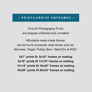May include: Text on a white background that reads: "&bull; PRINTS ARRIVE UNFRAMED &bull;" Fine Art Photography Prints are shipped unframed and unmatted. Affordable ready-made frames can be found at popular retail stores such as Michaels, Target, Pottery Barn, West Elm & IKEA. 5x7" prints fit 8x10" frames w/ matting. 8x10" prints fit 11x14" frames w/ matting. 11x14" prints fit 16x20" frames w/ matting. 16x20" prints fit 20x24" frames w/ matting.