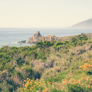 California Coast Photography, Big Sur, Orange Poppies, Landscape, Summer, Fine Art Print, Beach Decor, Coastal, Ocean, Wall Art bild 1