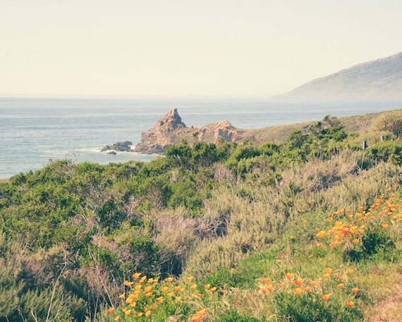 California Coast Photography, Big Sur, Orange Poppies, Landscape, Summer, Fine Art Print, Beach Decor, Coastal, Ocean, Wall Art