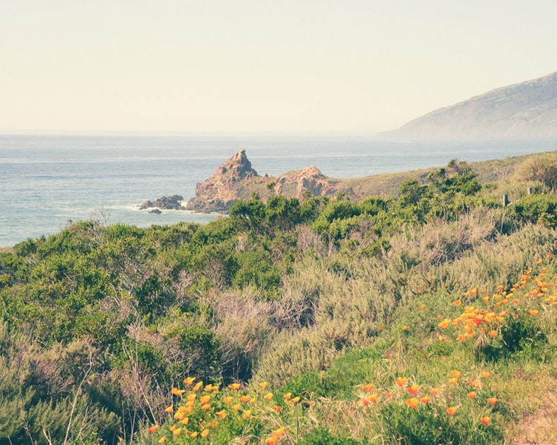 California Coast Photography, Big Sur, Orange Poppies, Landscape, Summer, Fine Art Print, Beach Decor, Coastal, Ocean, Wall Art bild 1