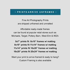 May include: Text explaining that fine art photography prints are shipped unframed and unmatted.  It also lists the standard sizes of prints and the corresponding frame sizes with matting.  The text includes the phrase "PRINTS ARRIVE UNFRAMED".