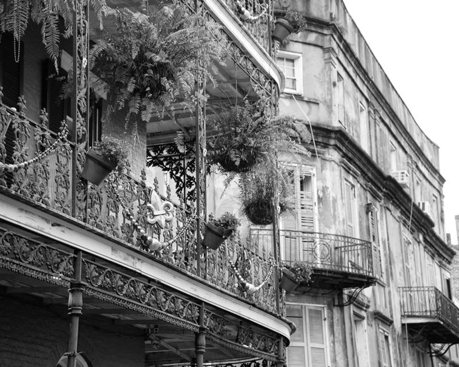 New Orleans Photography Print New Orleans Wall Art Decor Etsy