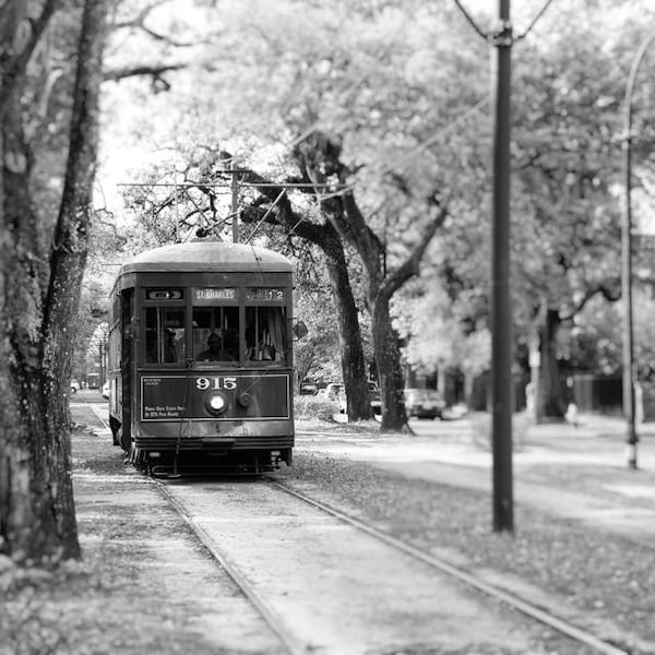 New Orleans Photography, Black and White Print, St Charles Streetcar Garden District, Travel Decor, New Orleans Wall Art