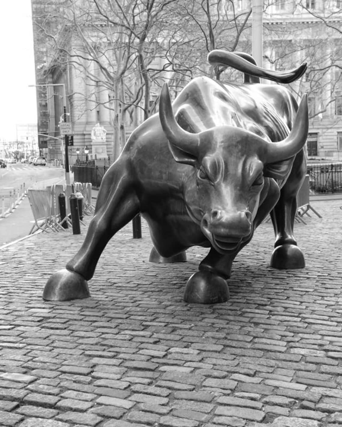Wall Street Bull New York Bull Statue Charging Bull Black Etsy Canada