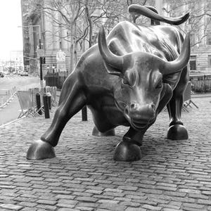 Wall Street Bull, New York Bull Statue, Charging Bull, Black and White Photography, New York City Wall Art, NYC, Office Decor, Stock Market image 3