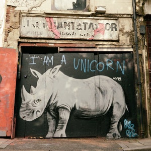 London Street Art Photography Print, Black and White Photo, Graffiti, Urban Wall Art, I am a Unicorn, Rhino Print Color