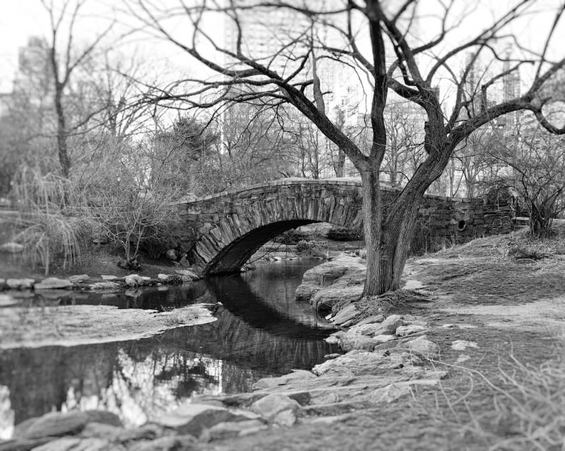 Central Park New York Wall Art Black and White Photography Etsy