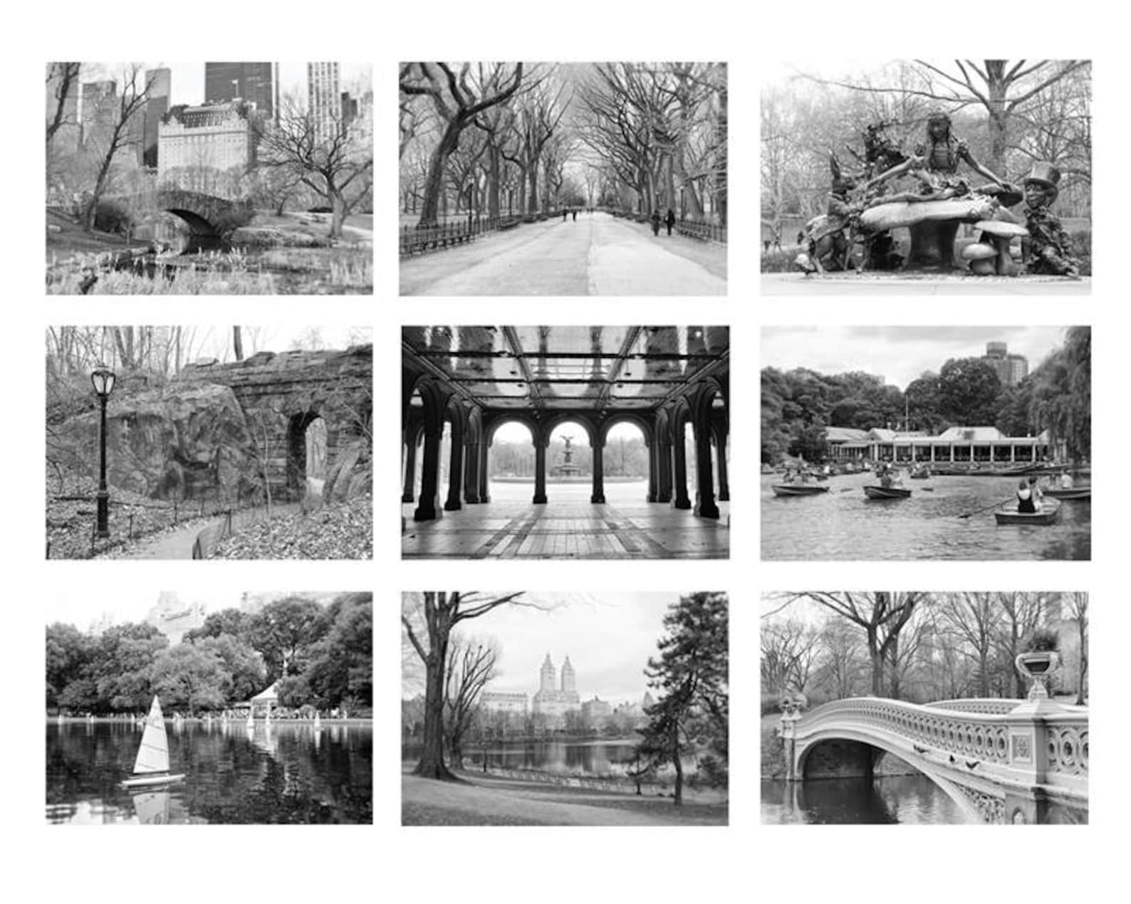 Central Park Black and White Photography New York Gallery Etsy